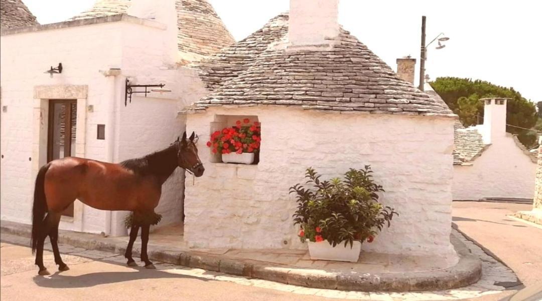 Trulli Resort Dimore Storiche Alberobello Exterior photo